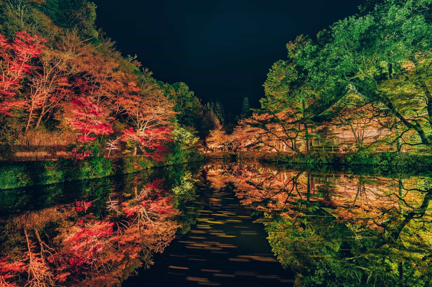 宝生寺のライトアップ